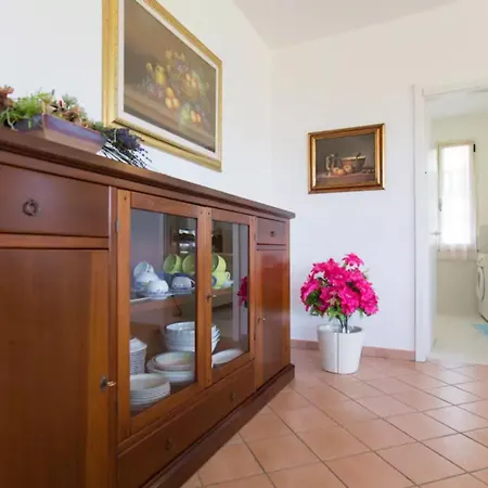 Mimosa Ad A 2km Dalla Per 6 Persone *