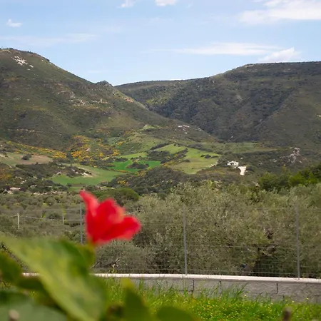 Villa Mimosa Ad A 2km Dalla Per 6 Persone *