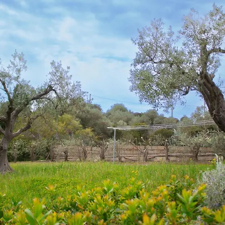 Mimosa Ad A 2km Dalla Per 6 Persone Villa