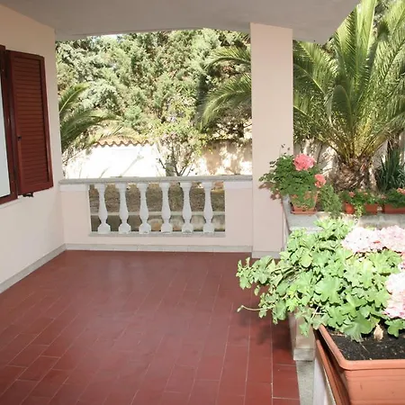 Mimosa Willa Cala Liberotto